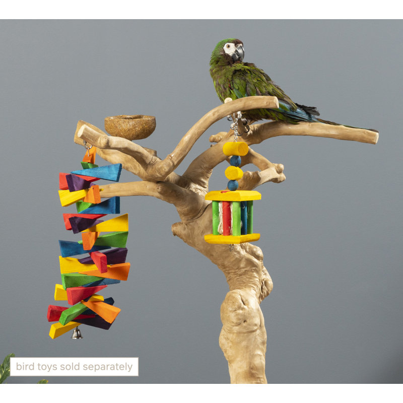 Large Natural Coffeawood Table Top Bird Playstand