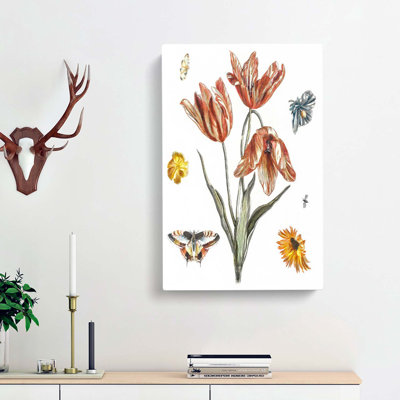 Butterflies & Flower by Johan Teyler - Wrapped Canvas Painting