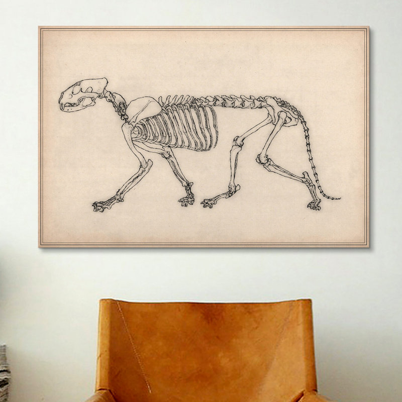 « tiger squelette », reproduction d’art sur toile Animal Art, H 26 po x l 40 po x P 1,5 po, Toile tendue, Pas de tapis