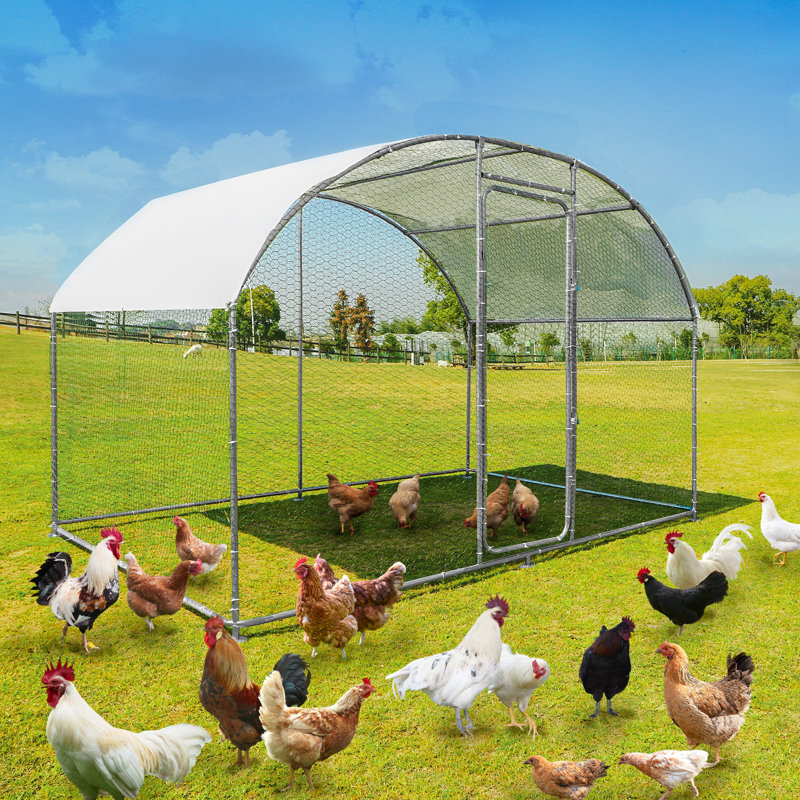 Decarla Metal Chicken Coop with Round Top, 78.70" H x 118.10" W x 78.80" D