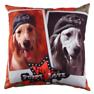 Coussin lavable de qualité supérieure, 17,0 x 17,0 pouces, 50% coton / 50% polyester, rembourrage en silicone, fermeture à glissière dissimulée | Doux, confortable et repassable | Parfait pour la décoration intérieure, le salon et la chambre à cou