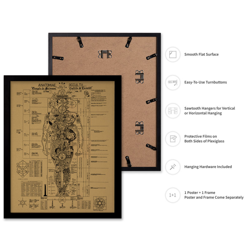 Occult Anatomy, Cadre noir, Affiche, H 16 po x l 20 po