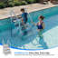 Échelle de piscine hors-sol, échelle de piscine robuste à 4 marches avec marches antidérapantes et mains courantes doubles, capacité de charge de 500 lb, pour 46 à 58 pouces-124794352-128596887