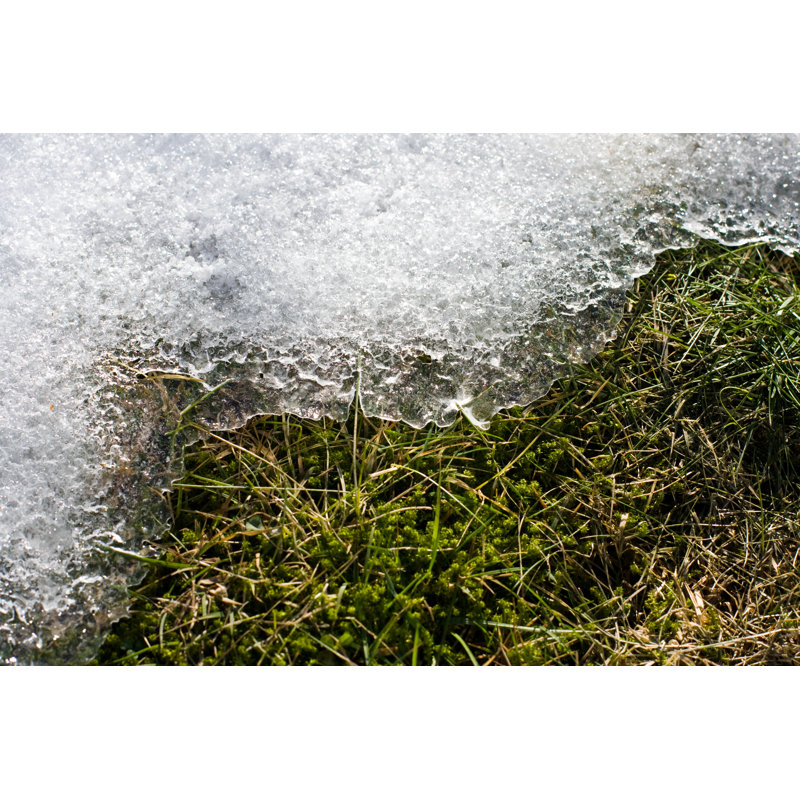 Melting Snow by Acprints - No Frame Art Prints on Canvas, 30cm H x 46cm W