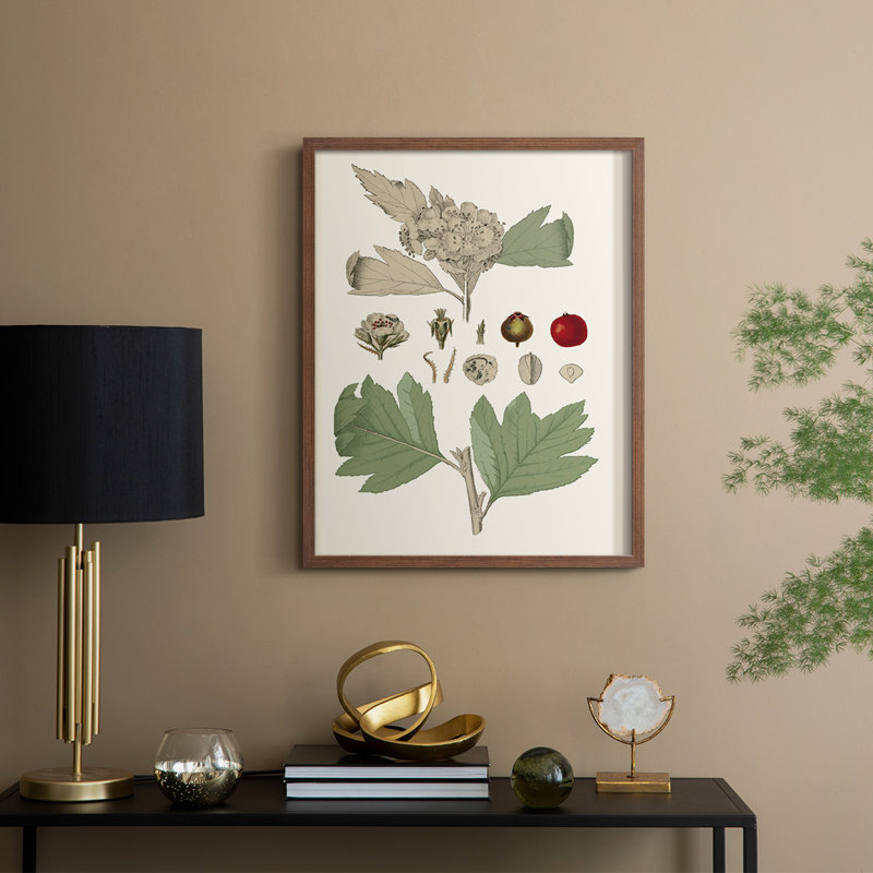 «Leaves & Berries IV», reproduction encadrée - bois massif, H 30 po x l 24 po, Noyer