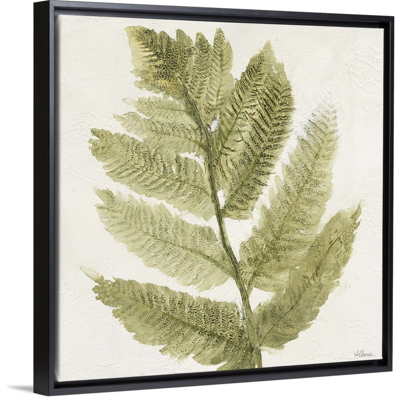 Forêt, fougères I, art mural, Toile avec cadre noir, H 36 po x l 36 po x P 1,75 po