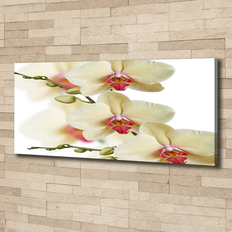 Orchid - Wrapped Canvas Print