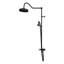 Ensemble de robinet de douche avec douchette à main 10 x 34 1/2 Abbey, noir mat-118340105