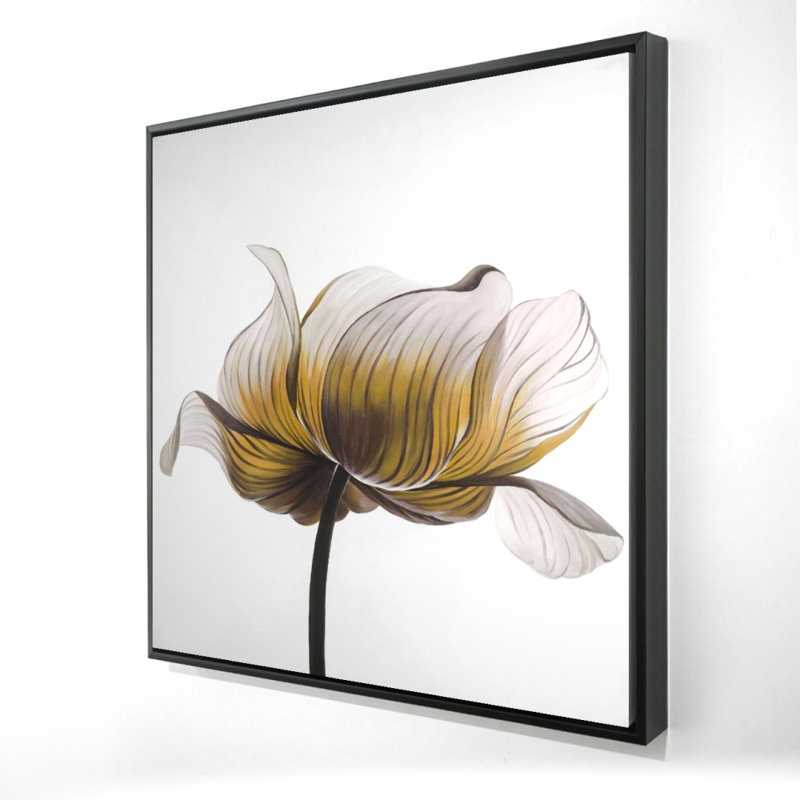 " Yellow Anemone Flower "