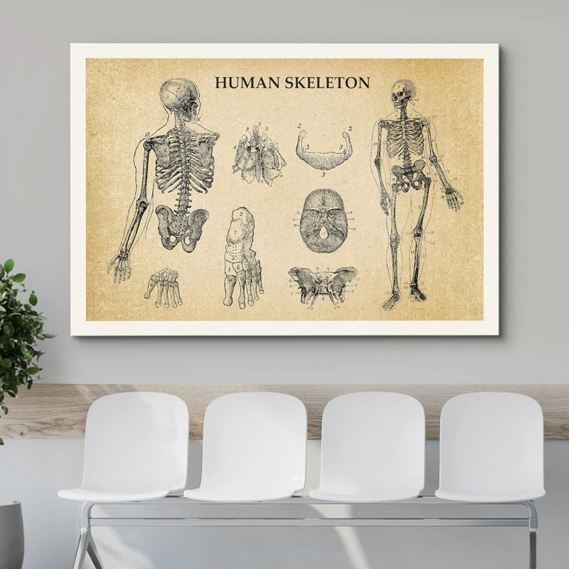 Art médical, impression rétro sur toile, H 32 po x l 48 po