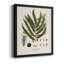 Toile encadrée de qualité supérieure Botanical Society Ferns II - prête à être accrochée-1365227731-1365227730