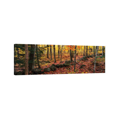 Trees in a Forest During Autumn, Hope, Knox County, Maine, USA 1 Piece Wrapped Canvas Panoramic Painting