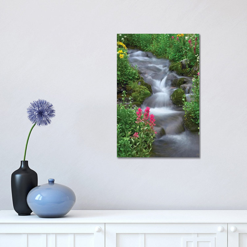 Orange Sneezeweed and Indian Paintbrush Beside Stream 1 Piece Wrapped Canvas Wall Art, 30.48 cm H x 45.72 cm W