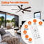 Ventilateur de plafond intelligent d'intérieur / extérieur de 60 pouces avec lumière DEL à intensité variable, moteur à courant continu réversible à 6 vitesses et télécommande