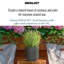Concrete Effect Frostproof Outdoor Plant Pot, Garden Flower Pot, Cylinder Round Garden Planter with Drainage Holes, Outdoor Planter with Ribbed Pattern-93635346-93635348