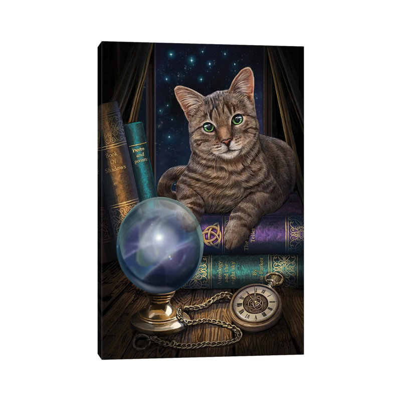 The Fortune Teller by Lisa Parker - Wrapped Canvas Print, 20.32 cm H x 30.48 cm W