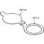 Housse d'intimité pour visionneuse de porte, anneau intérieur de 9/16 po de diamètre convenant à la visionneuse de porte (paquet simple)-66152427-66152428