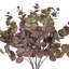 19 plantes-94734819