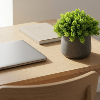 Plante grasse artificielle 8 po en pot de fibres