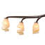Kleinman 8 - Light Shaded Chandelier