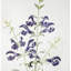 Floral - Cadre photo sur toile