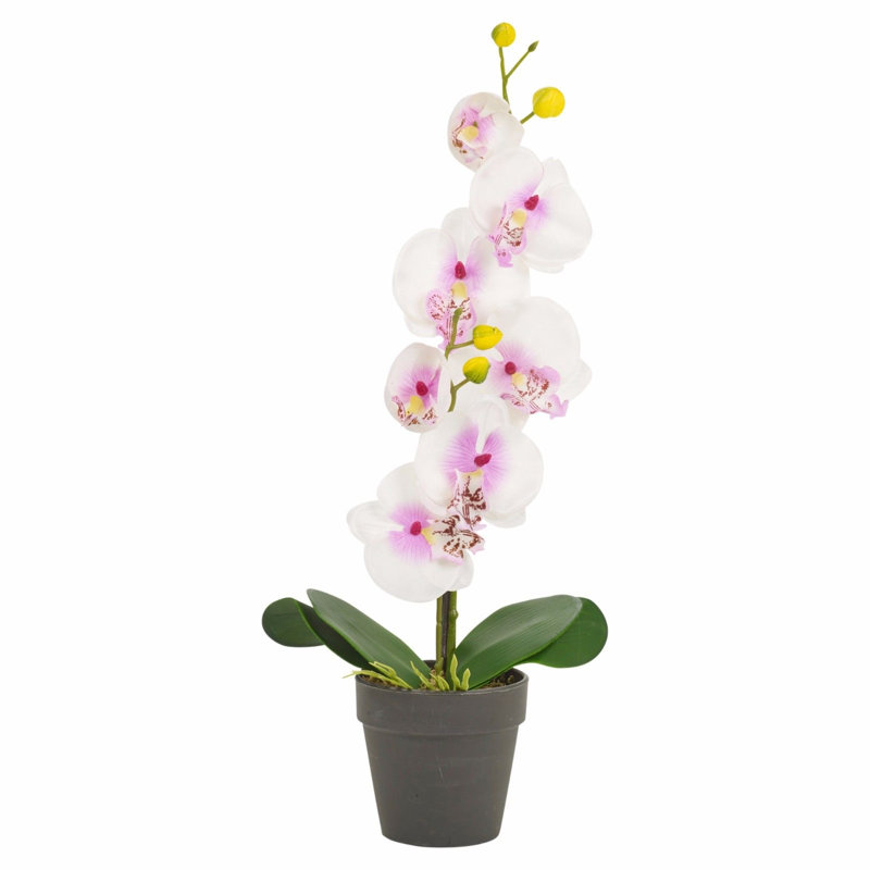 38cm Faux Flowering Plant in Pot, 38cm H x 10cm W x 9cm D, White