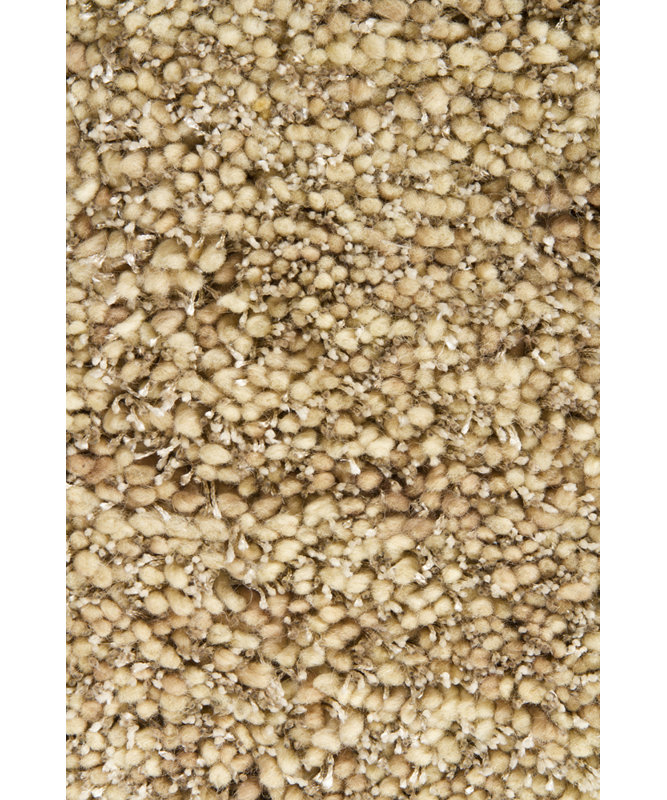 Sterling Hand Tufted Area Rug in Tan, Rectangle 9' x 13'