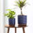 5.9 Inch Griffy Planter-1129121960