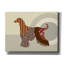 "Chien afghan" par Lanre Adefioyue-1252225352