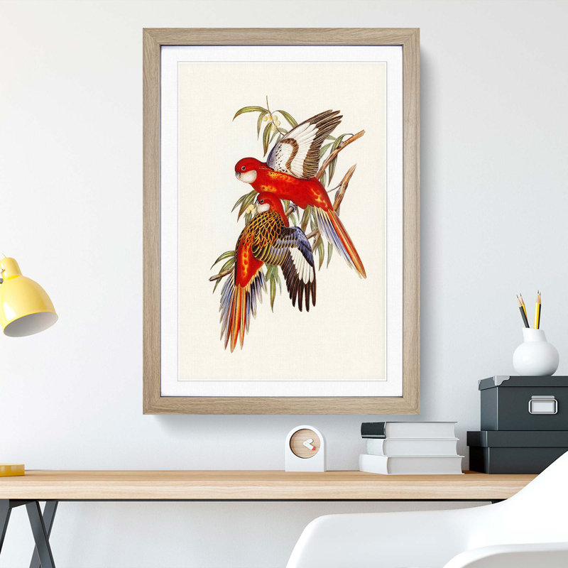Fiery Parakeets by Elizabeth Gould - Picture Frame Art Print, 36cm H x 27cm W x 2cm D, Oak Framed