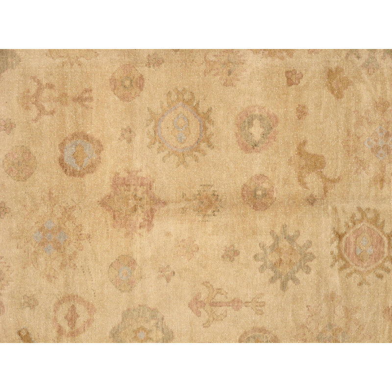 Tapis vert / beige en coton / laine oriental noué à la main 7 pi 11 po x 10 pi Oriental