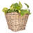 Square Tapered Planter With Plastic Insert