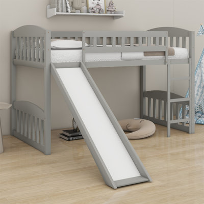 Loft Bed With Slide And Ladder