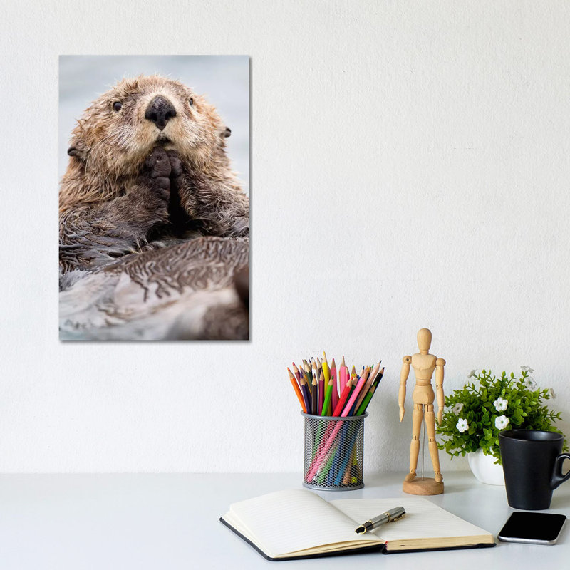 Sea Otter Juvenile, Katmai, Alaska I by Jaymi Heimbuch - Wrapped Canvas Print, 20.32 cm H x 30.48 cm W