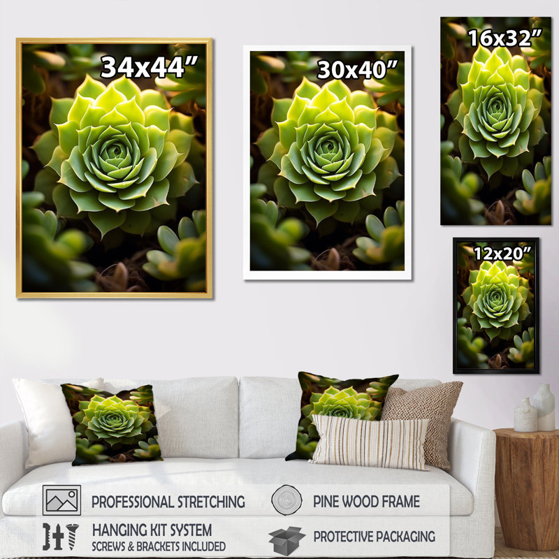 " Green Succulent Bloom ", 32" H x 24" W, Gold Floater Framed