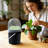 Bonis Hydroponics Growing Organization Kit