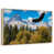 Floating Frame Natural Wood