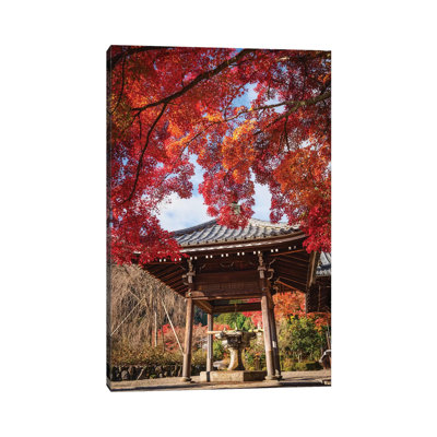 " Autumn In Japan XX "
