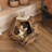 Furniture Style Cat Crate End Table Decorative Kitty House-604875509