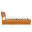 Phoenix Wood Platform Bed with Trundle-223210850-223210855