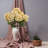 Hydrangea Bush-292098875