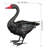 Black Swan Decor 18"