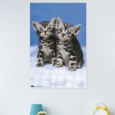 Impression sur papier chat-palmiers