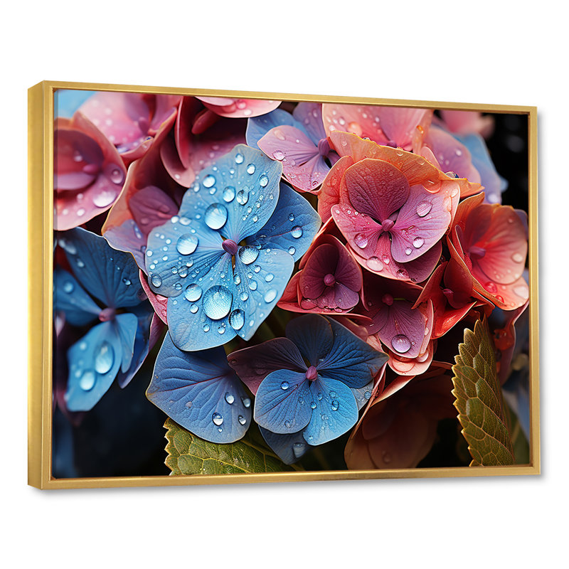 «Hydrangea Blooms Blend With Rainbow II», reproduction sur toile, Cadre flottant doré, H 16 po x l 32 po x P 1 po