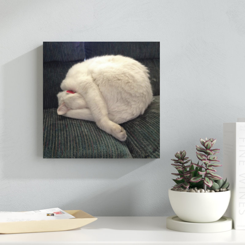Cat Yoga I, H 12 po x l 12 po