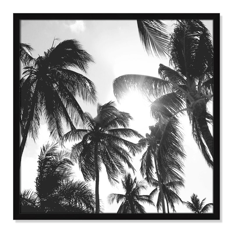 Palmiers des Caraïbes - reproduction de cadre photo, L 23,5 po x H 23,5 po, Cadre noir