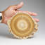 Genuine Aragonite Stalactite Slice From Mexico (471 Grams)