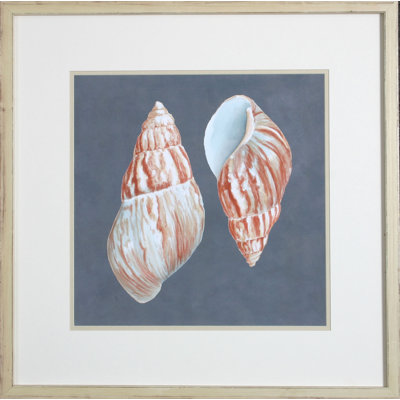 «Shell on Slate V» par Meagher - reproduction de photo encadrée sur papier