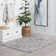 Jova Indoor Rug