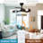Krol 42'' Ceiling Fan with LED Lights